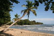 Palmenstrand 2, Costa Rica Palmenstrand 2, Costa Rica