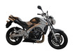 moto