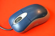 Souris
