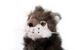 Petit loup en peluche