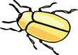 yellow insect