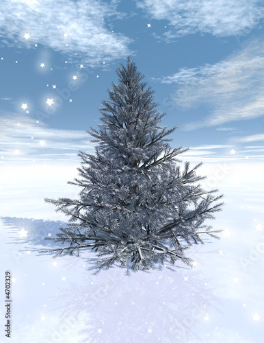 Photo: christmas tree christmas tree