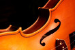 fragment of violin