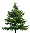 Christmas tree