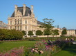 Jardins des Tuileries (Paris Louvre)