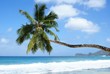 paradies