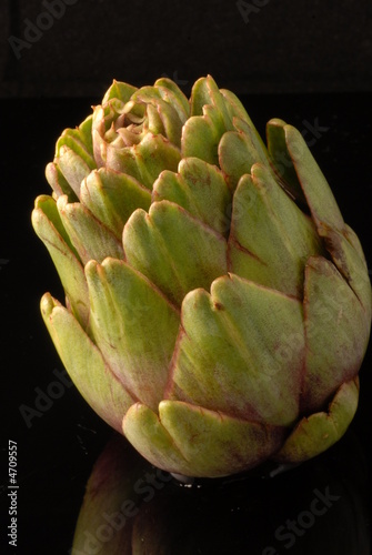 carciofo