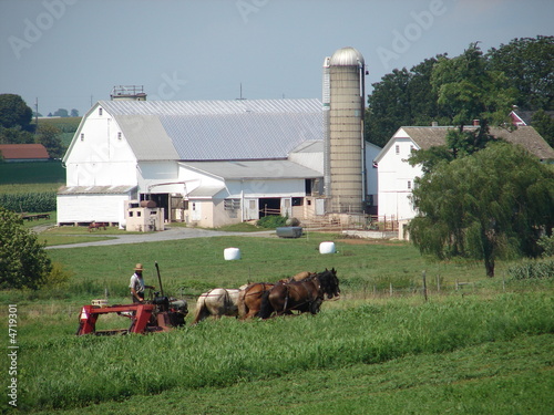Photo: Amish Farm Amish Farm