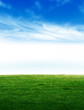 Green field