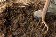 rich organic mulch