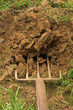 breaking uncultivated ground