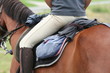 Sport équestre Sport équestre