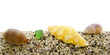 bordure sable et coquillages