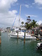 SAILING KEY WEST FL