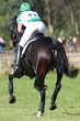 Photo: horse and rider following eventing track horse and rider following eventing track