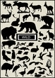  lots of wild forest animal vector