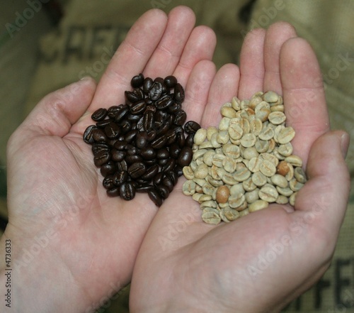 terrefaction