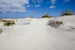 Dunes of Hatteras