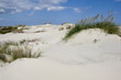 Dunes of Hatteras