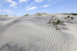 Dunes of Hatteras