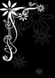 black_white_frame