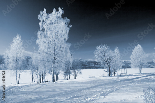 Photo: Winter landscape Winter landscape