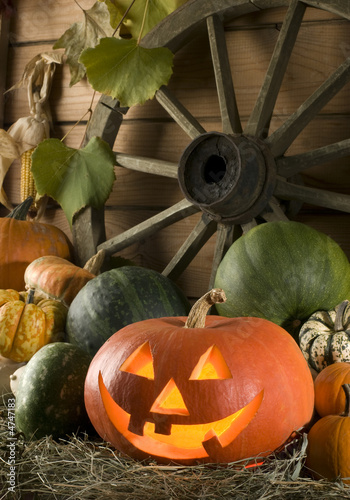 Photo: halloween halloween