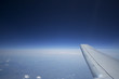 high blue sky wing