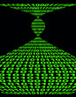 Global code Global code