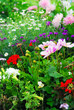 Versailles gardens Versailles gardens
