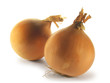 Onion