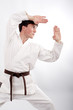 karate 3