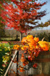 Autumns colorful harvest