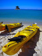 sea kayaks on the beach
