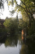 Reflections_5