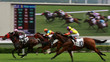Horse Racing