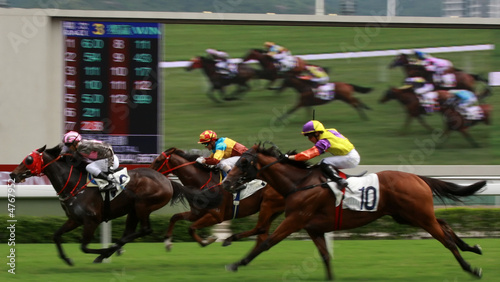 Photo: Horse Racing Horse Racing