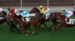Horse Racing