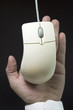mouse hanging and hand behind