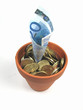 growing money