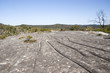 Rock Shelf