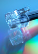 Foto: Internet Internet