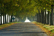 French Fall Country Lane French Fall Country Lane
