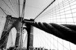 Wires on the Brooklyn Bridge