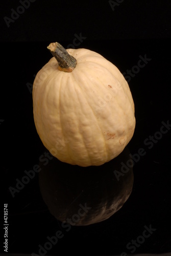 zucca zucca