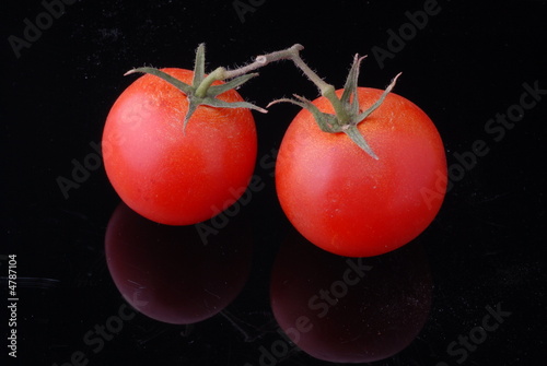 pomodori pomodori