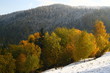 Autumn and winter in one