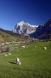 Grindelwald