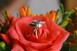 bague de mariage sur bouquet