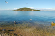 Insel, Meer, Möwen - Adria Insel, Meer, Möwen - Adria